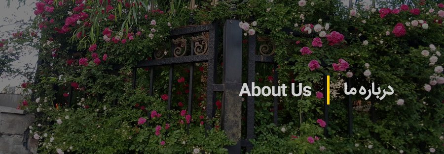 about-us