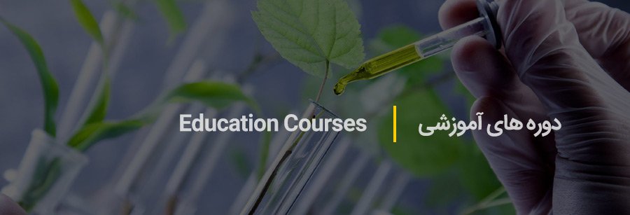 education-coursee2
