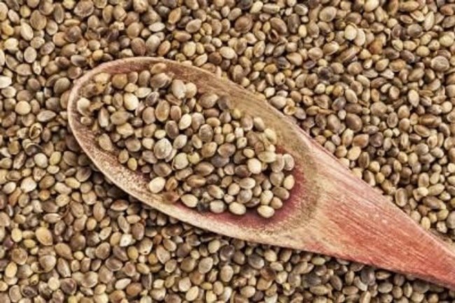 hemp