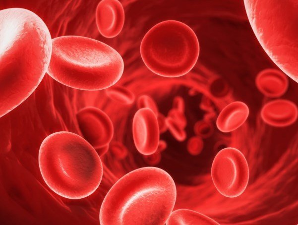 RedBloodCells11-1280x640