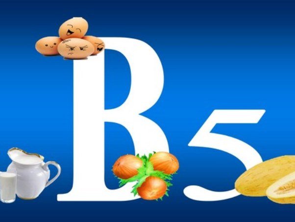 b5