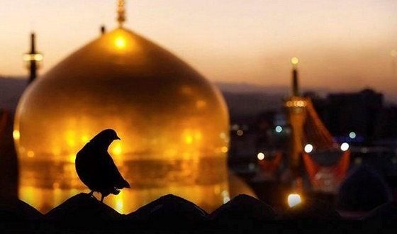 photo_2016-12-03_01-07-23-1-560x330