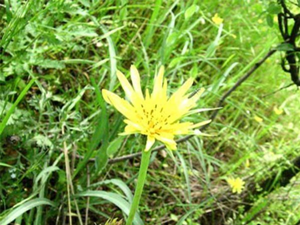 Untitled-3